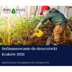 Witryna www.Domiwoda.pl sprawdź rok 2021